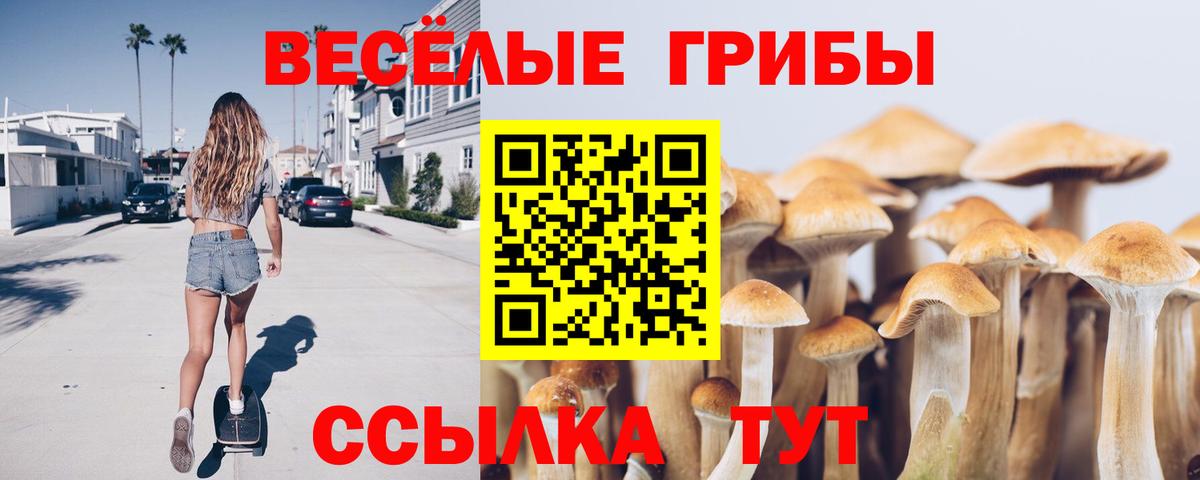 где найти   Вход с VPN  Улан-Удэ  Галлюциногенные грибы Cubensis 
